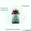 LF-GYNOSTEMMA-ASTRAGALE — 60 gélules — NATURAMedicatrix