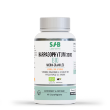 Pilulier de Harpagophytum 3000 Bio – 60 gélules végétales pour le confort articulaire – SFB Laboratoires