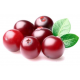 Cranberry