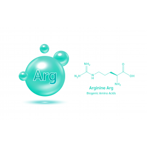 Arginine 