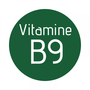 Vitamine B9 (acide folique)