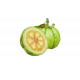 Garcinia
