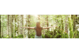 Cat&eacute;gories Nouveautés