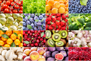 Cat&eacute;gories Principes actifs