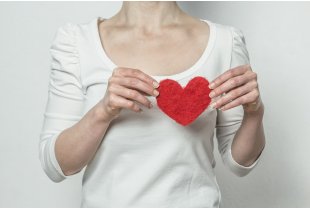 Cat&eacute;gories Cholestérol