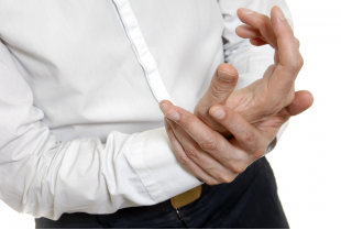 Cat&eacute;gories Articulations - Muscles - Os